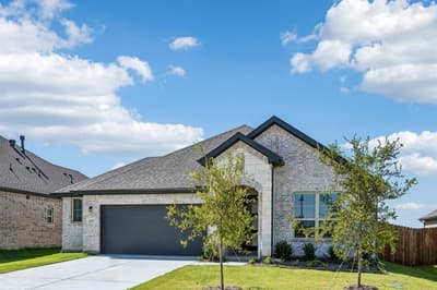 2377 Rams Horn Drive, Waxahachie TX 75167 - Photo 3