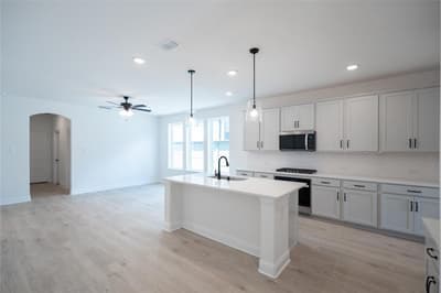 8744 Treeline Parkway, Justin TX 76247 - Photo 3