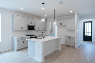 8744 Treeline Parkway, Justin TX 76247 - Photo 5