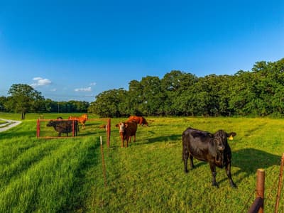 141 County Road 4793, Boyd TX 76023 - Photo 4