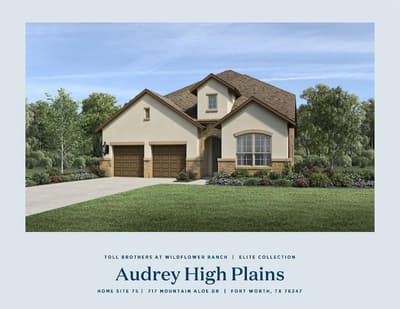 717 Mountain Aloe Drive, Fort Worth TX 76247