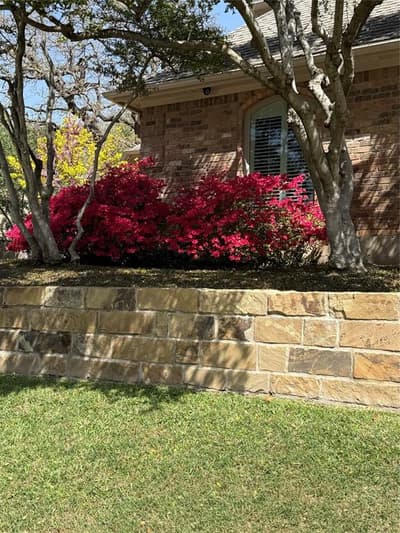 907 Loch Lomond Drive, Arlington TX 76012 - Photo 3