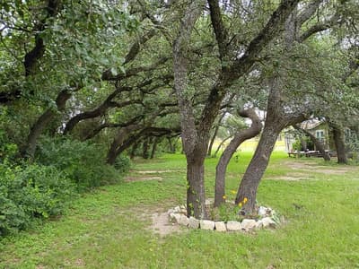 7250 County Road 350, Blanket TX 76432 - Photo 4