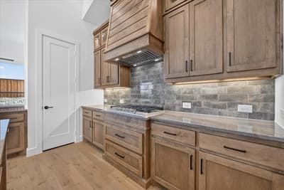 2533 Domingo Drive, Aledo TX 76008 - Photo 4
