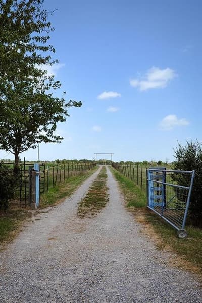 806 N Fm 1752, Savoy TX 75479 - Photo 2