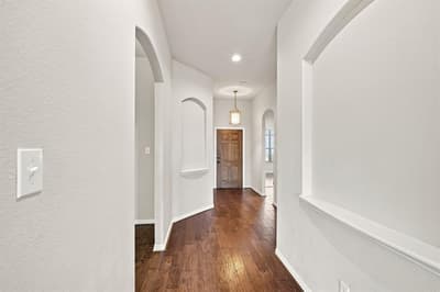 1020 Lake Hollow Drive, Little Elm TX 75068 - Photo 3