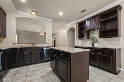 1001 Pigeon Hawk Drive, Little Elm TX 75068 - Photo 2