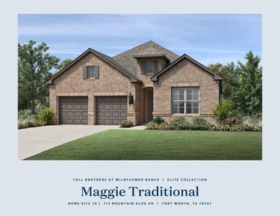 713 Mountain Aloe Drive, Fort Worth TX 76247