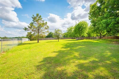 4142 County Road 1001, McKinney TX 75071 - Photo 3
