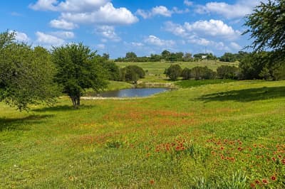 1973 County Road 513, Stephenville TX 76401 - Photo 4