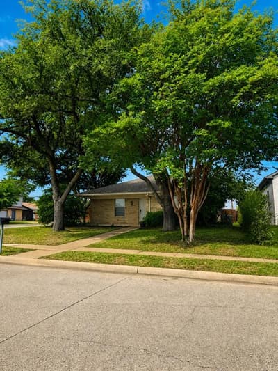 11103 Odette Avenue, Dallas TX 75228 - Photo 3