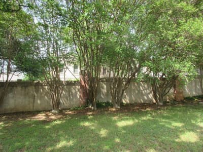 1709 Norwood Lane, Arlington TX 76013 - Photo 3