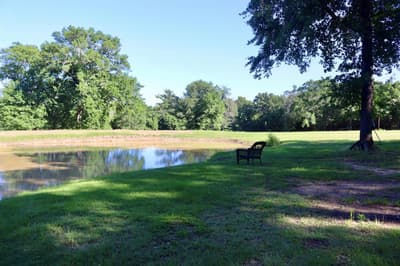 387 County Road 2101, Ivanhoe TX 75447 - Photo 3