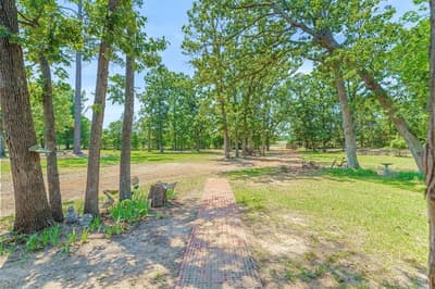 7611 Fm 314, Ben Wheeler TX 75754 - Photo 3
