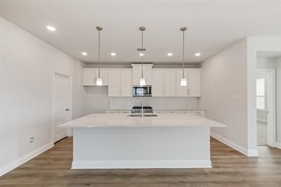 2021 Dandelion Drive, Celina TX 75009 - Photo 2