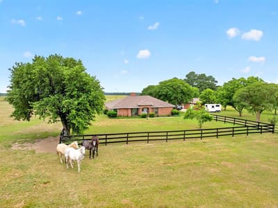 1401 Vz County Road 3411, Wills Point TX 75169