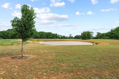 1350 County RD 4040 Road, Ector TX 75439