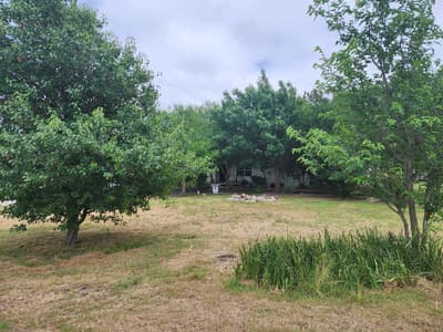 5538 Schluter Road, Ponder TX 76259