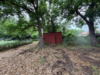 316 Alley Street, Perrin TX 76486 - Photo 4