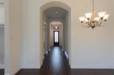 867 Forest Street, Little Elm TX 76227 - Photo 3