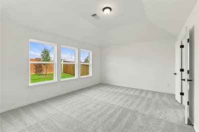 16521 Japanese Maple Drive, Fort Worth TX 76247 - Photo 4