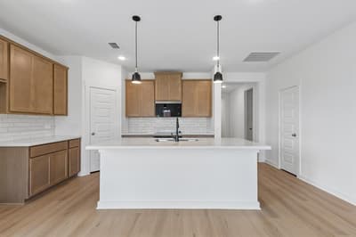 1420 Elle Lane, Aubrey TX 76227 - Photo 3