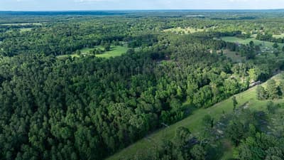 22924 County Road 223, Arp TX 75750 - Photo 2