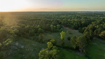 22924 County Road 223, Arp TX 75750 - Photo 4