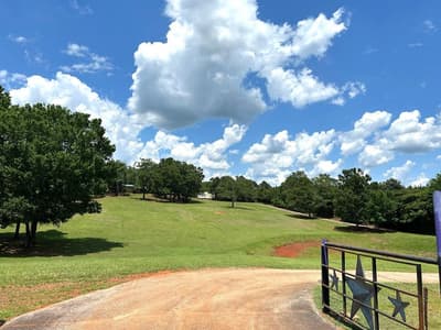 440 VZ County Road 4814, Ben Wheeler TX 75754 - Photo 5