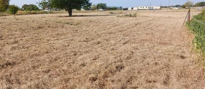7739 NW County Road 1200, Barry TX 75102 - Photo 2