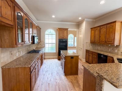 2533 Vista Creek Court, Garland TX 75044 - Photo 2