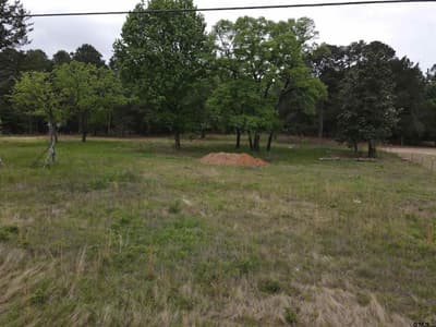 13041 County Road 4122, Lindale TX 75771 - Photo 2