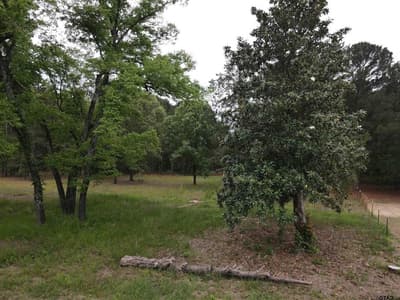 13041 County Road 4122, Lindale TX 75771 - Photo 3