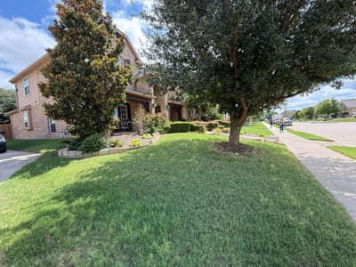 3221 Le Manns Street, Midlothian TX 76065 - Photo 4