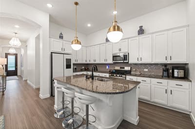 1316 Friesian Lane, Aubrey TX 76227 - Photo 4