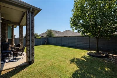 1128 Cottonseed Street, Little Elm TX 76227 - Photo 5