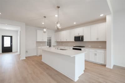 3912 Amethyst Drive, Celina TX 75009 - Photo 4