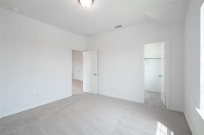 3920 Amethyst Drive, Celina TX 75009 - Photo 5