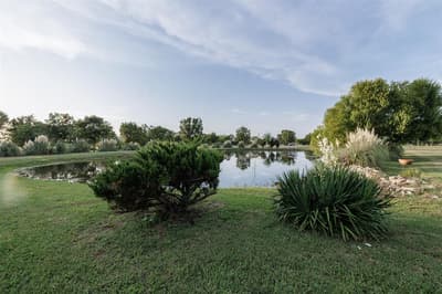 4699 County Road 1600, Alba TX 75410 - Photo 2