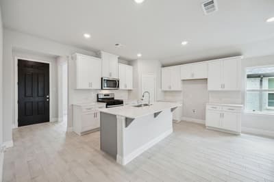 1201 Cristiano Lane, Anna TX 75409 - Photo 3