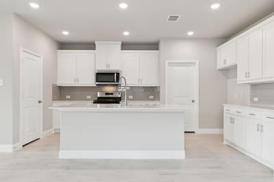 1009 Santa Lucia Drive, Anna TX 75409 - Photo 3