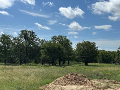 570 Big Salty Lane, Springtown TX 76082 - Photo 3