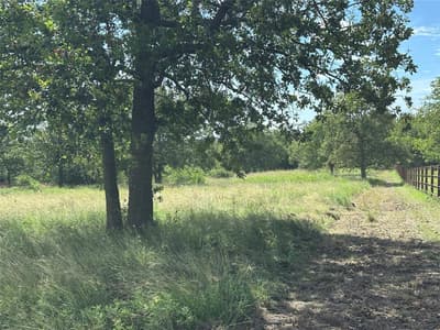 570 Big Salty Lane, Springtown TX 76082 - Photo 5