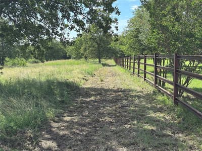570 Big Salty Lane, Springtown TX 76082 - Photo 4
