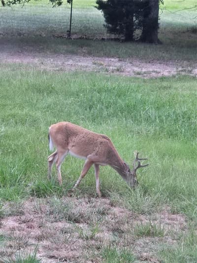 2611 Private Road 2410, Quinlan TX 75474 - Photo 5