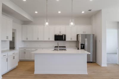 3049 Hollybrook Lane, Anna TX 75409 - Photo 4