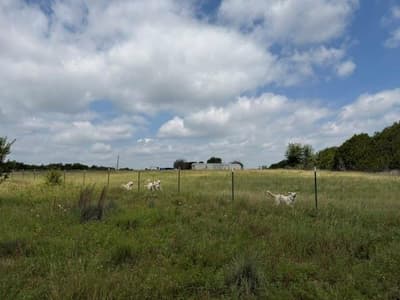 3828 W Fm 219, Hico TX 76457