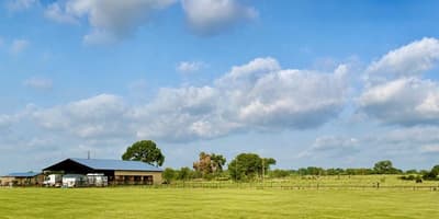 695 County Road 416 Road, Comanche TX 76442 - Photo 5