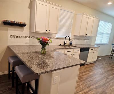 2453 Larimar Drive, Little Elm TX 76227 - Photo 4