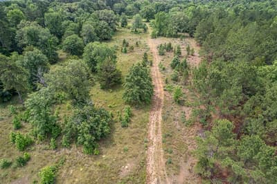 895 VZ CR 4917, Ben Wheeler TX 75754 - Photo 5